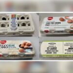 Salmonella Outbreak Linked To Eggs Prompts Recall Of Nearly 2 Million Cartons