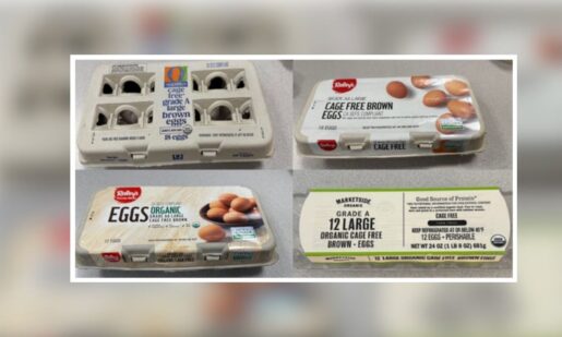 Salmonella Outbreak Linked To Eggs Prompts Recall Of Nearly 2 Million Cartons