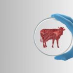 ‘Where’s The Beef?’ Texas Bans Lab-Grown Meat