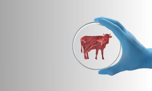 ‘Where’s The Beef?’ Texas Bans Lab-Grown Meat