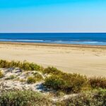Texas Secures $382K Grant To Boost Beach Water Quality Monitoring