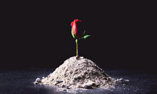 Rising Above Burnout Through Spiritual Strength
