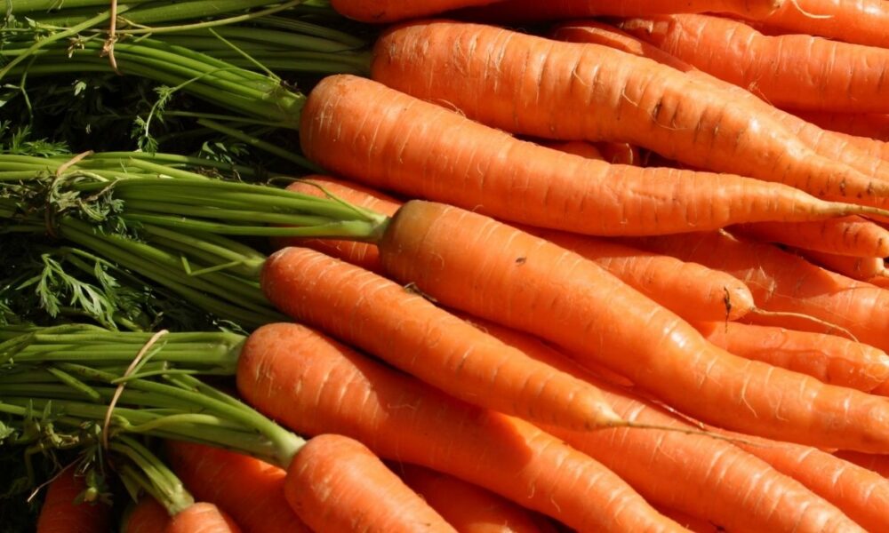 Veggie Villainy: CBP Peels Back Carrot Shipment To Reveal Meth Jackpot