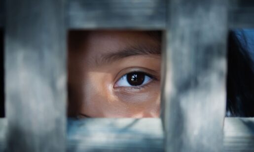 Biden-Era NGOs Slammed For Alleged Child Trafficking Role