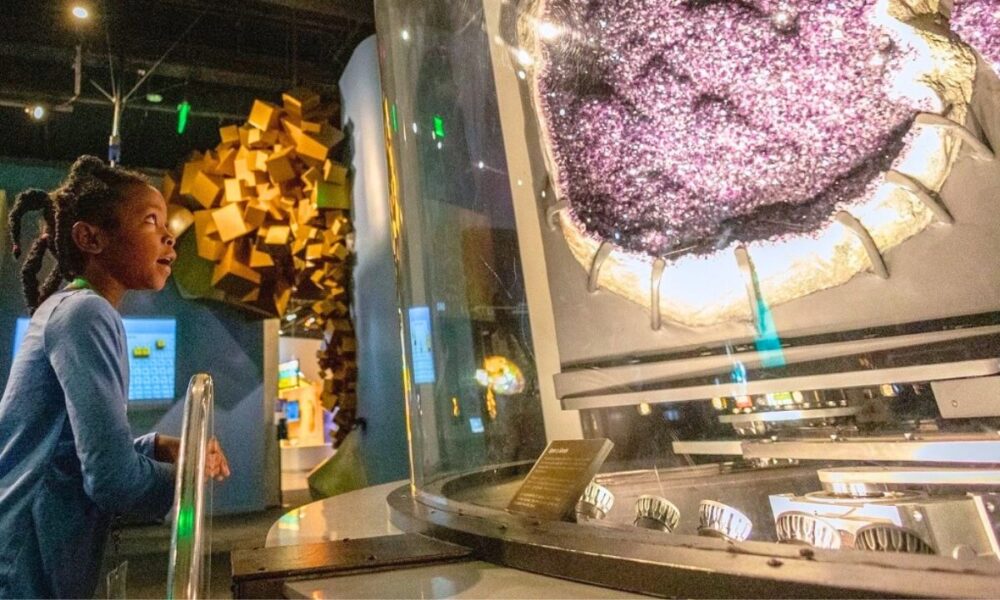 Newly Renovated Perot Museum Targeted In Burglary, Man Detained