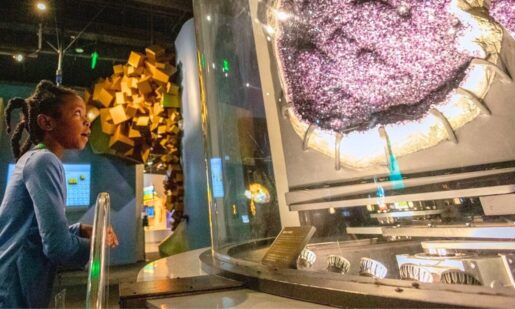 Newly Renovated Perot Museum Targeted In Burglary, Man Detained