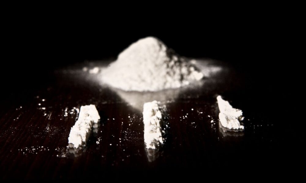 Texas Ports Outsmart Smugglers, Seize $1.88M In Cocaine