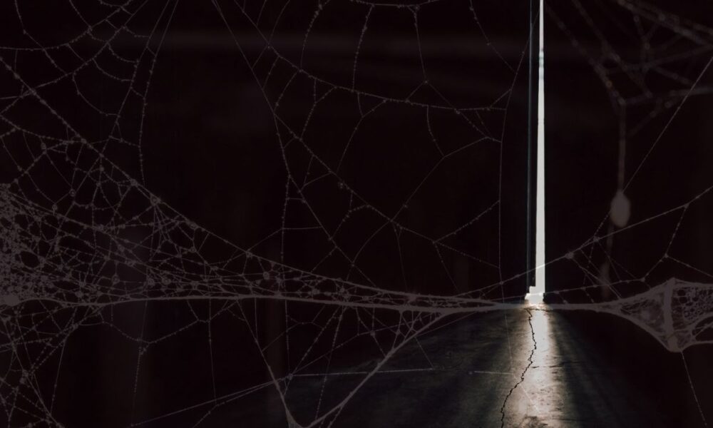 FBI’s ‘Operation Grayskull’ Torches Dark Web Child Abuse Cesspool, 18 Convictions