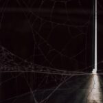 FBI’s ‘Operation Grayskull’ Torches Dark Web Child Abuse Cesspool, 18 Convictions