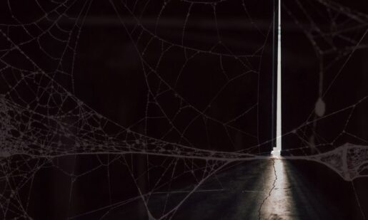 FBI’s ‘Operation Grayskull’ Torches Dark Web Child Abuse Cesspool, 18 Convictions