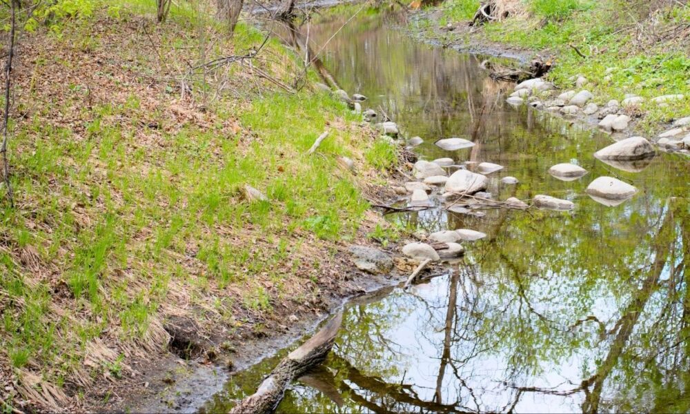 Grim Discovery Under Bridge: Garland Cops Investigate Human Remains