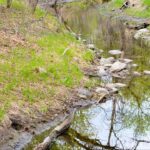 Grim Discovery Under Bridge: Garland Cops Investigate Human Remains