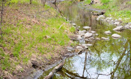 Grim Discovery Under Bridge: Garland Cops Investigate Human Remains