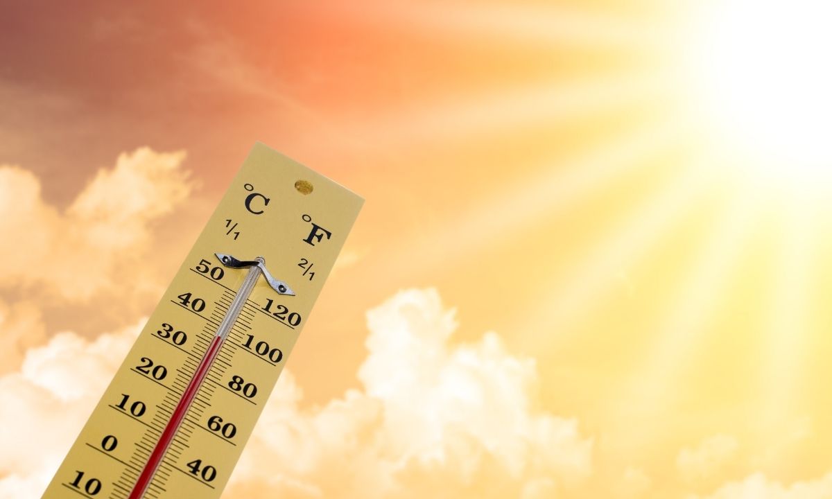 9-Year-Old Girl Dies In Hot Car After Mother Leaves Her For Work Shift
