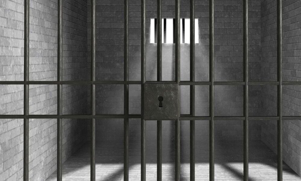 Dirty John MUGSHOTS: Five Men Arrested In Collin County For Sex Crimes, Bonds Totaling Over $1 Million