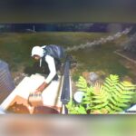 Denton Package Nabbed In Early Morning Caper Caught On Ring Cam