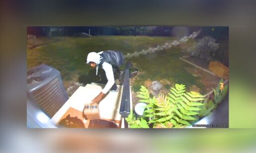 Denton Package Nabbed In Early Morning Caper Caught On Ring Cam