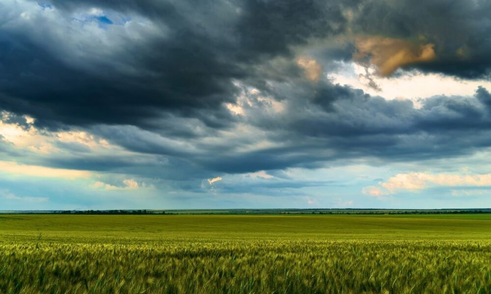 Focus On Recovery, Not Rumors: Texas Leaders Address Flood Crisis, Deny Cloud Seeding