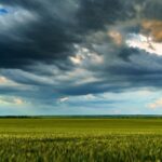 Focus On Recovery, Not Rumors: Texas Leaders Address Flood Crisis, Deny Cloud Seeding