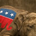 From DOGE To Defiance: Will The ‘American Party’ Weaken The GOP?