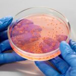 Can Gut Bacteria Be The Key To Banishing Forever Chemicals?