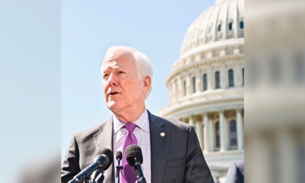 Cornyn Pursues Trump’s Backing, Despite Gun Control Clashes And Paxton Heat
