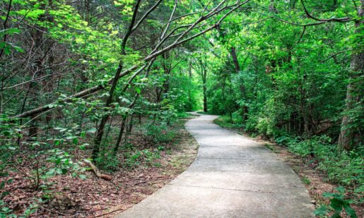 Garland Apologizes For Spring Creek Preserve Clearing Amid Sewer Crisis