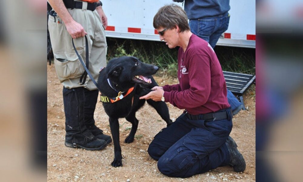 Texas A&M VET Deployed To Help Flood Rescue Dogs In Kerr County