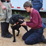 Texas A&M VET Deployed To Help Flood Rescue Dogs In Kerr County