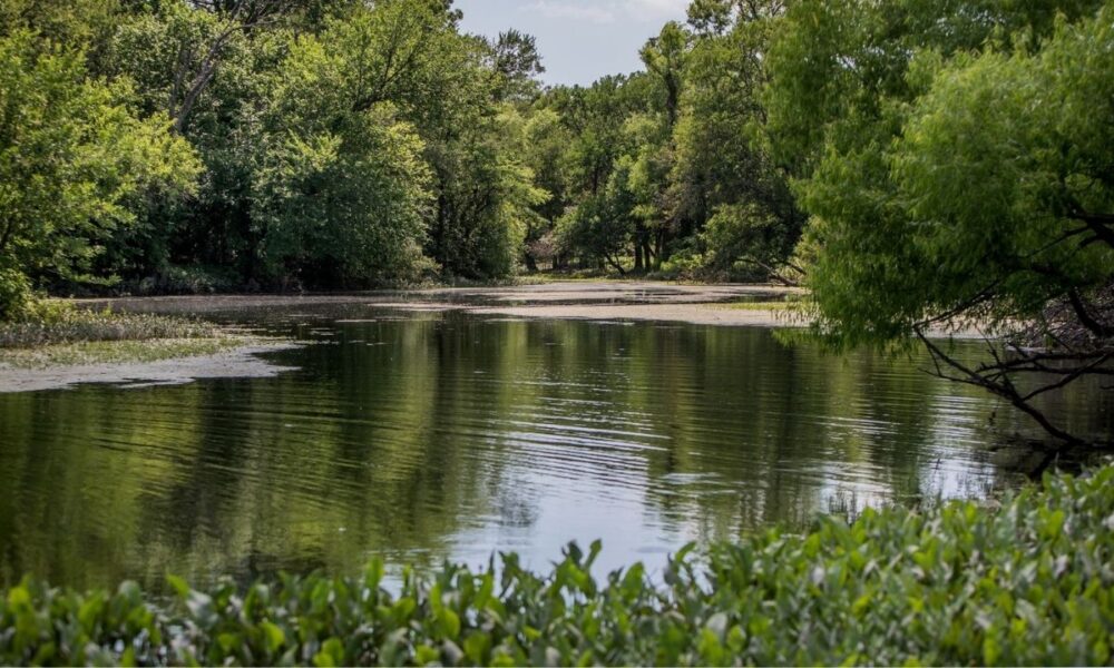 First Responders Recover 15-Year-Old’s Body In Prosper Reservoir Drowning