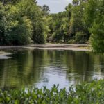 First Responders Recover 15-Year-Old’s Body In Prosper Reservoir Drowning