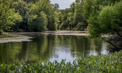 First Responders Recover 15-Year-Old’s Body In Prosper Reservoir Drowning