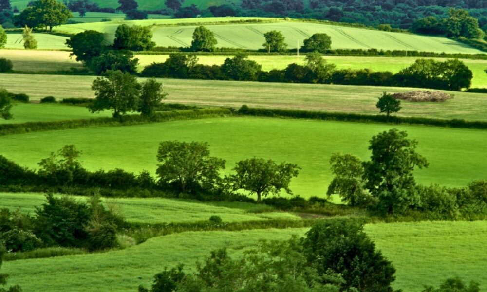 46 Million Acres Of U.S. Soil In Foreign Hands, Texas Leads In Chinese Ownership