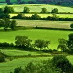 46 Million Acres Of U.S. Soil In Foreign Hands, Texas Leads In Chinese Ownership