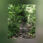 Oops! Garland Water Utilities Crew Takes A Backhoe To Spring Creek Forest Preserve