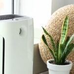 Clean Air At Home: Study Links Air Purifiers To Better Heart Health Outcomes