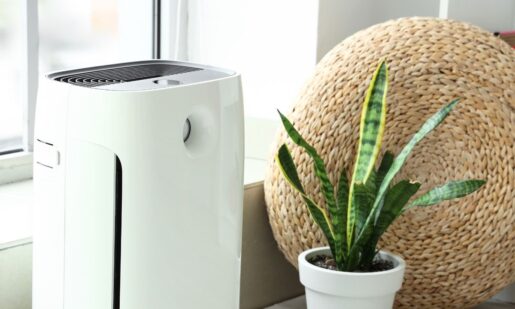 Clean Air At Home: Study Links Air Purifiers To Better Heart Health Outcomes