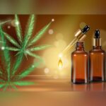 Texas Expands Medical Cannabis Program: 12 New Dispensary Licenses Available