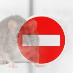 PHOTO: Horrifying Contraband; Primate And Rodent Meat Seized By Customs