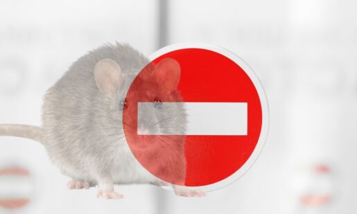 PHOTO: Horrifying Contraband; Primate And Rodent Meat Seized By Customs