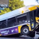 DART Bus Crashes Into White Rock Station, Injures Five In Dallas