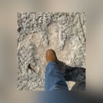 115-Million-Year-Old Dinosaur Footprints Found After Texas Floods