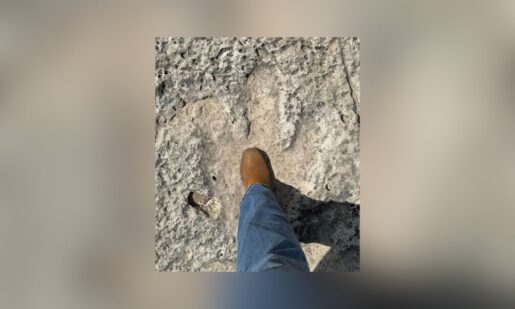 115-Million-Year-Old Dinosaur Footprints Found After Texas Floods