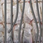 Love, Lies, And Meth: Woman Sentenced In Texas Prison Drug Smuggling Scheme