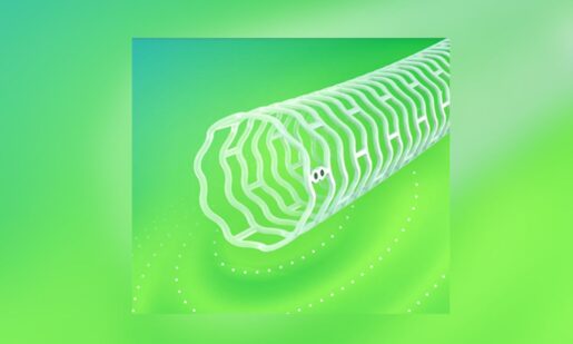 Abbott’s Disappearing Stent Gets European Green Light To Battle Leg Artery Blockages
