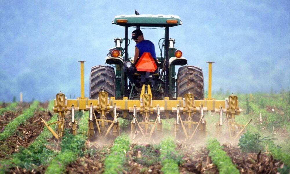 From Seedlings To Success: Texas Farmers Can Grow Their Future With USDA’s Low-Down Loans