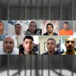 ICE Strikes Hard: 356 Gang-Linked Illegal Aliens Arrested In Houston