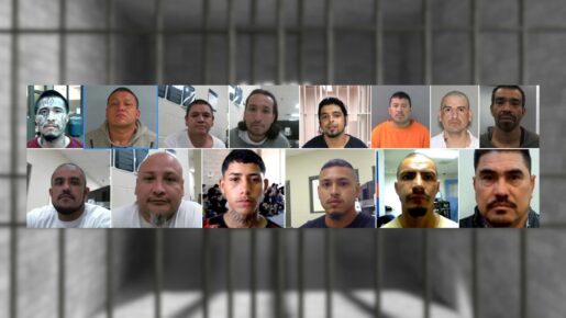 ICE Strikes Hard: 356 Gang-Linked Illegal Aliens Arrested In Houston