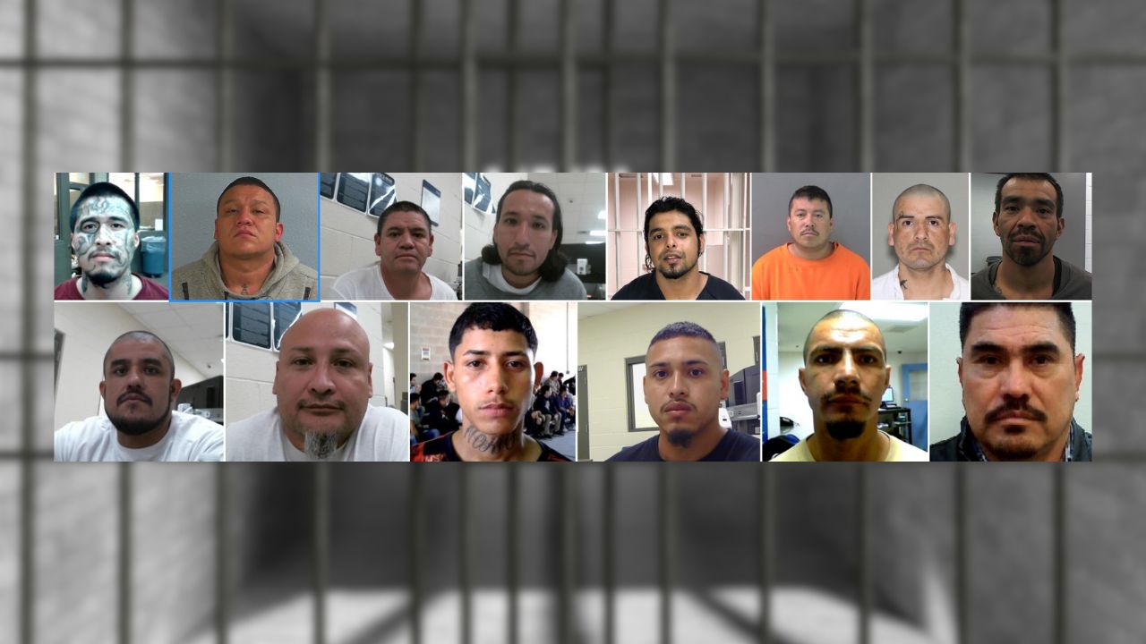 ICE Arrests 356 Gang-Linked Illegal Aliens in Houston