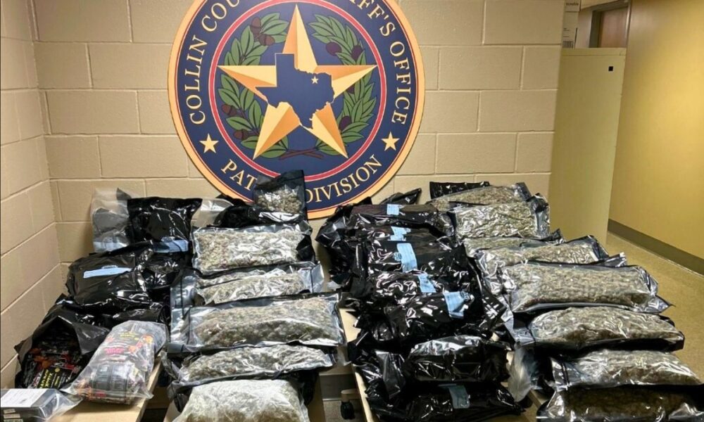 Collin County Sheriff’s Office Nets Major Drug Busts, Including Years-Long Operation